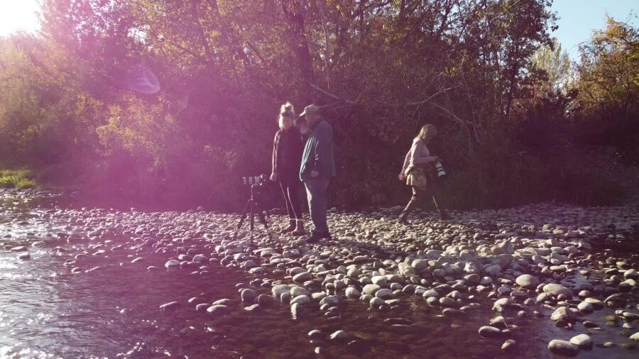 DJI_0151.mp4